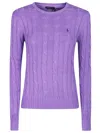 Polo Ralph Lauren Sweater In Violet