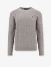 Polo Ralph Lauren Sweater In Grey