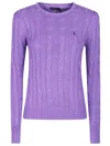 Polo Ralph Lauren Sweater In Multicolor