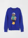 Polo Ralph Lauren Polo Bear Cotton Sweater In Royal Blue