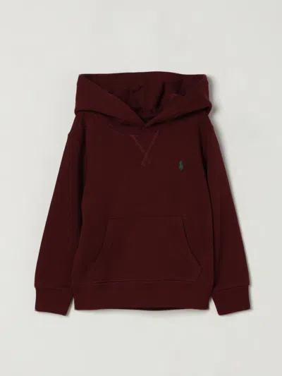 Polo Ralph Lauren Babies' Jumper  Kids Colour Wine In Burgundy