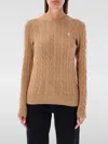 Polo Ralph Lauren Polo-pony-motif Cotton Jumper In Brown