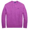 Polo Ralph Lauren Sweater Pullover In Purple