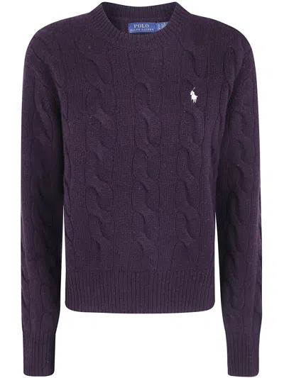 Polo Ralph Lauren Sweater Pullover In Purple