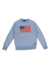 Polo Ralph Lauren Sweater-pullover In Blue