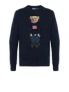 Polo Ralph Lauren Ralph Lauren Sweaters In Blue