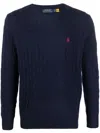 Polo Ralph Lauren Pony Sweater In Blue