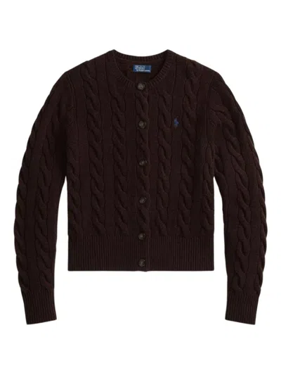 Polo Ralph Lauren Sweaters In Brown