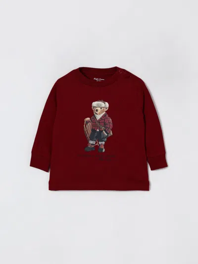 Polo Ralph Lauren Babies' Sweater  Kids Color Red In Burgundy