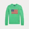 Polo Ralph Lauren Kids' The Iconic Flag Sweater In Plato Green
