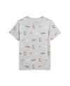 POLO RALPH LAUREN TODDLER AND LITTLE BOYS COTTON JERSEY GRAPHIC T-SHIRT