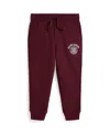 Polo Ralph Lauren Ralph Lauren Logo Fleece Jogger Pant In Burgundy
