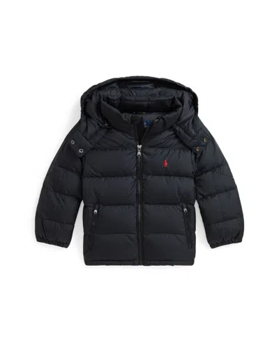 Toddler polo jacket sales