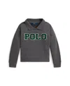 Polo Ralph Lauren Kids' Graphic Polo Sweatshirt In Gray