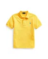 Polo Ralph Lauren Toddler And Little Boys The Iconic Mesh Polo Shirt In Yellowfin