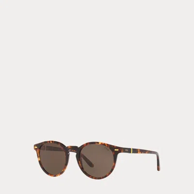 Polo Ralph Lauren Tortoiseshell Trousero Sunglasses In Brown