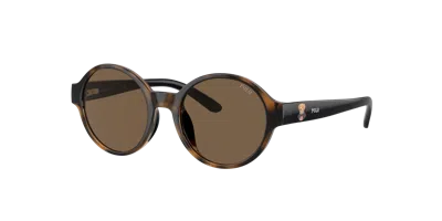 Polo Ralph Lauren Unisex Sunglass Pp9508u In Brown