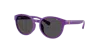 Polo Ralph Lauren Unisex Sunglass Pp9509u In Purple