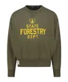 Polo Ralph Lauren Vintage Fit Fleece Graphic Sweatshirt In Green