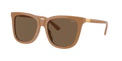 Polo Ralph Lauren Woman Sunglass Ph4201u In Brown