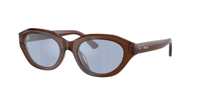 Polo Ralph Lauren Woman Sunglass Ph4237u In Brown