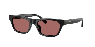 Polo Ralph Lauren Woman Sunglass Ph4238u In Purple