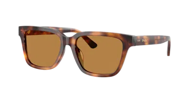 Polo Ralph Lauren Frau Sunglass Ph4247u In Brown