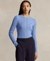 Polo Ralph Lauren Ralph Lauren Sweaters In New Litchfield Blue
