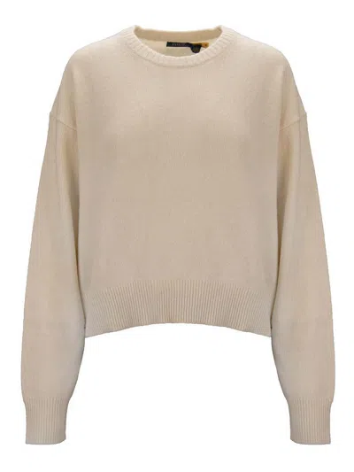 Polo Ralph Lauren Women's Sweater In Brown