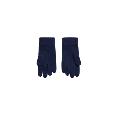 Polo Ralph Lauren Merino Wool Gloves In Navy