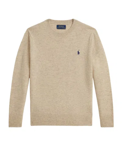Polo Ralph Lauren Wool Sweater In Multi
