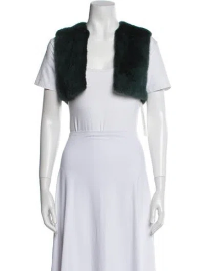 Pre-owned Pologeorgis Mink Fur Jacket In Green