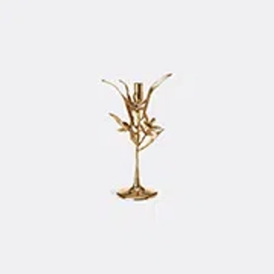 Polspotten Candlelight And Scents Gold Uni