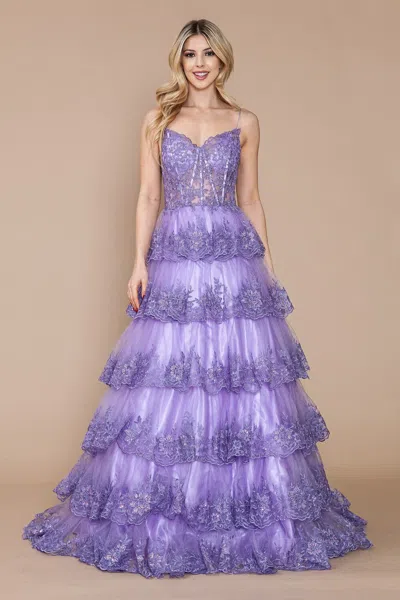 Poly Usa 9402 In Purple