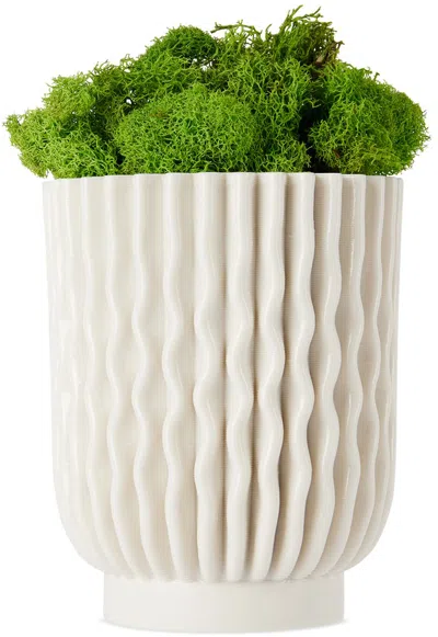 Polymorf Off-white Small Gudrun Planter In Cream