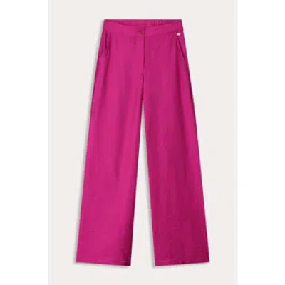 Pom Amsterdam Pants In Pink
