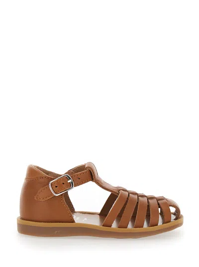 Pom D'api Sandal In Brown