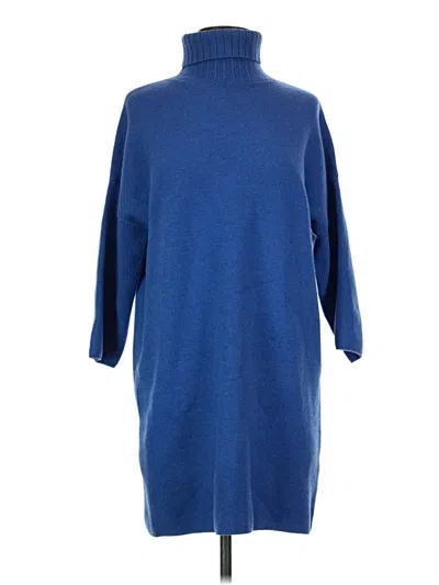 Pre-owned Pomander Place Turtleneck Sweater In Blue
