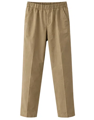 Pomandère Women's Cotton Chino Pants In Brown