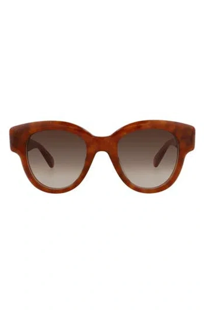 Pomellato 49mm Novelty Round Sunglasses In Havana Havana Brown