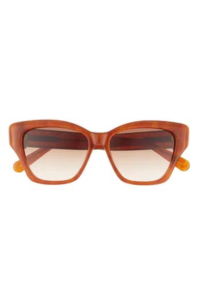 Pomellato 53mm Novelty Square Sunglasses In Havana Havana Brown