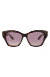Pomellato Cat Eye-frame Acetate Sunglasses Woman Sunglasses Brown Size 53 Acetate In Havana Havana Violet