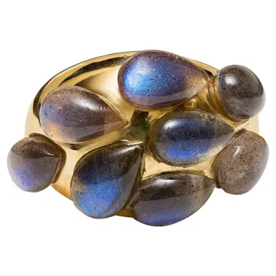 Pre-owned Pomellato Labradorite Ring In Multi