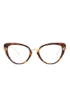 Pomellato Novelty 50mm Cat Eye Optical Glasses In Havana Gold Transparent