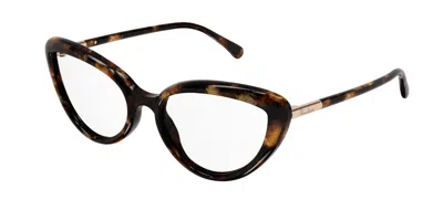 Pomellato Pm0112o Women's Glasses, Tortoiseshell, Size 53 In Brown