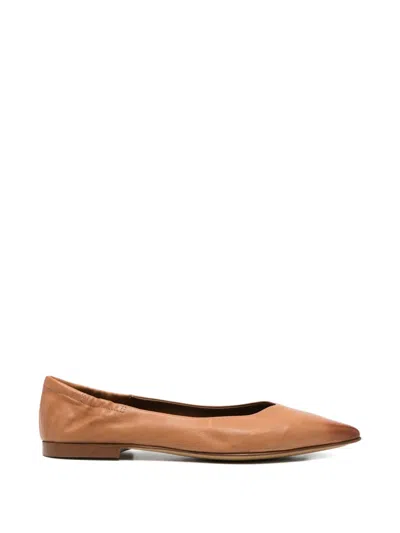 Pomme D'or Ingrid 1000 Pointed Ballet Flats In Brown