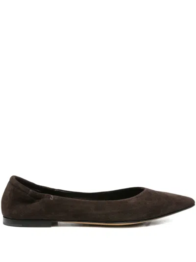 Pomme D'or Pointed-toe Suede Ballet Flats In Brown