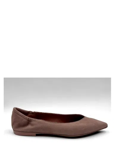 Pomme D'or Pointed-toe Scalloped-trim Ballet Flats In Brown