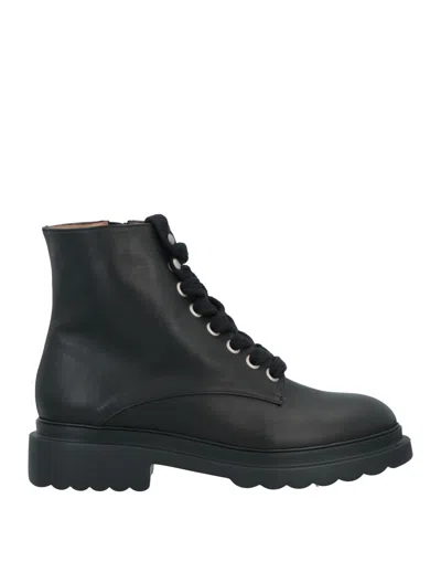 Pomme D'or Ankle Boots In Black