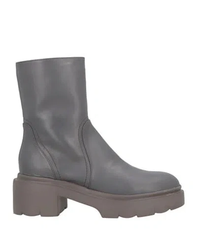Pomme D'or Woman Ankle Boots Grey Size 8 Calfskin In Gray
